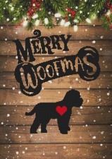 Cavachon Puppy Dog. Large